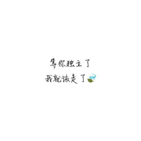 我把整个世界都给了你，最终我毁