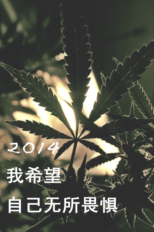 也许不能把自己看得那么重要，这样下去，总有一天你会累倒的