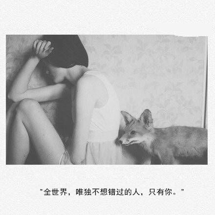 学会放弃，只因太爱你