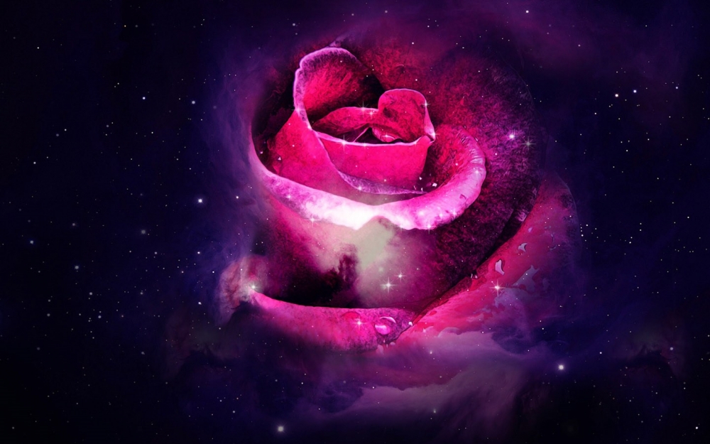 星空紫色玫瑰花唯美桌面壁纸