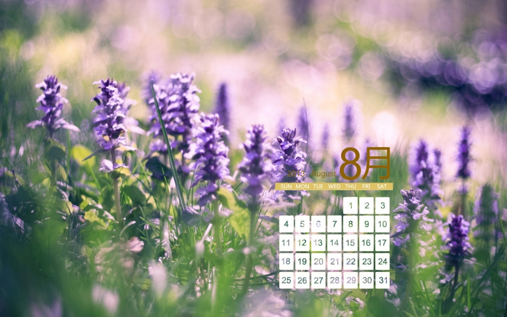 2013年日历壁纸之8月花朵