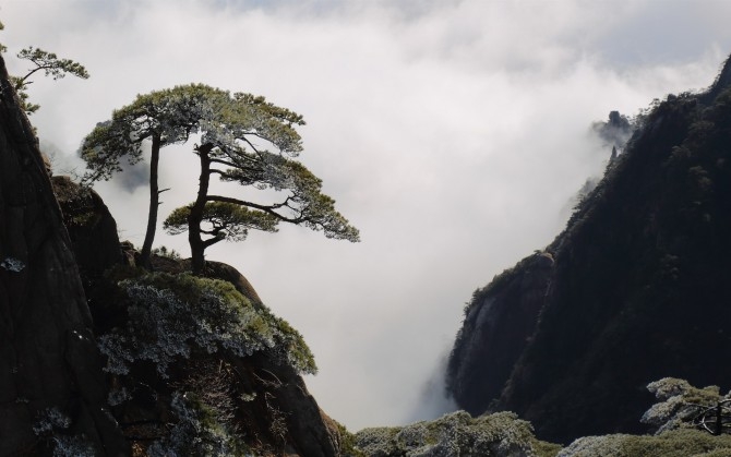 安徽黄山图片绿色风景桌面壁纸