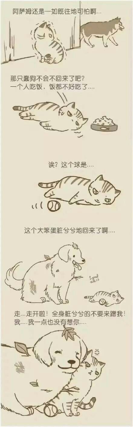 就是这样想你---WXYZ