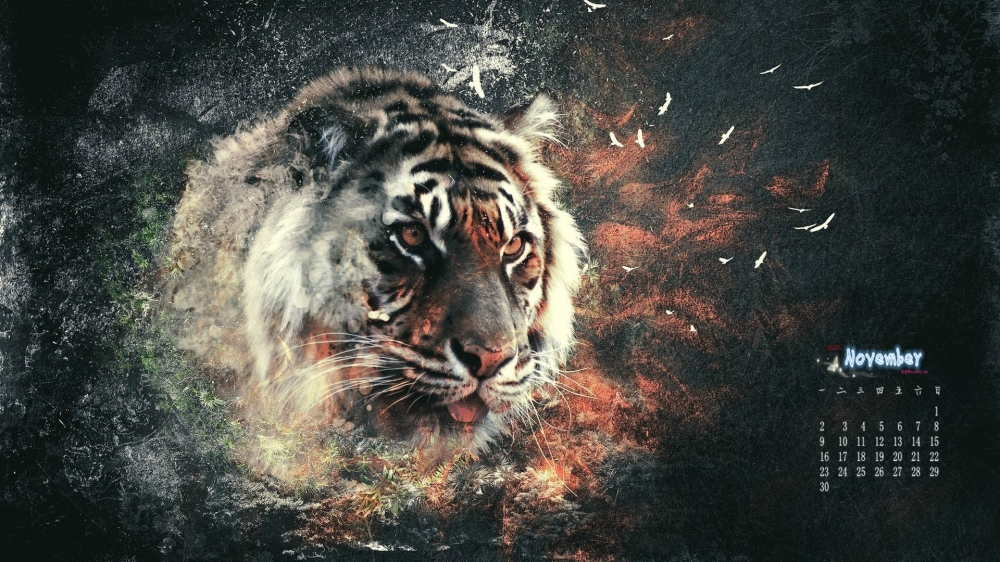 2015年11月日历动物世界老虎摄影桌面壁纸下载3