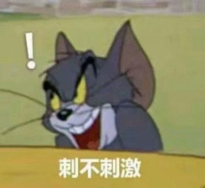 猫和老鼠？？？