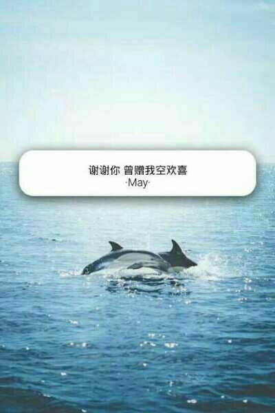 你来我的世界一场，给我一生兵荒马乱