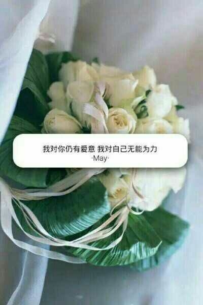 你来我的世界一场，给我一生兵荒马乱