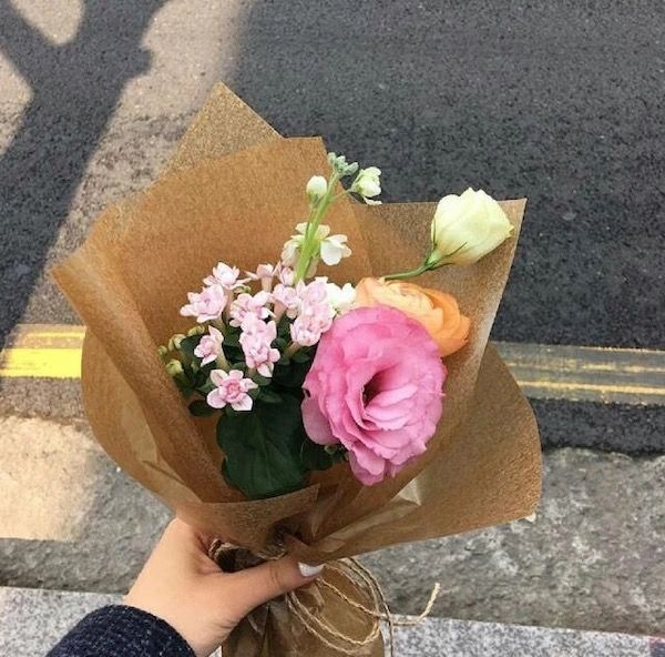 人生的聚会是一种缘分 鲜花唯美图片