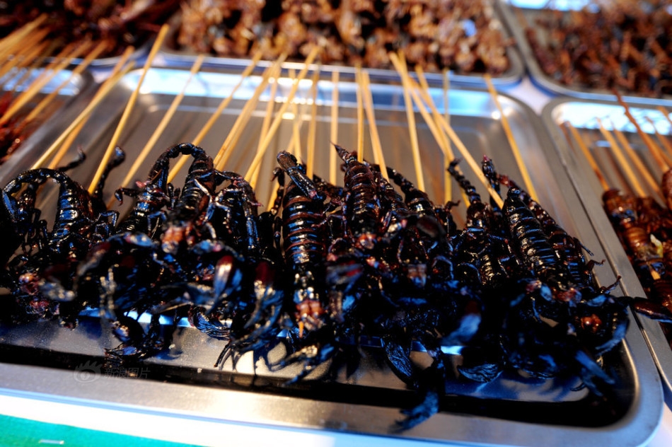沈阳肉虫料理登场挑战味觉极限