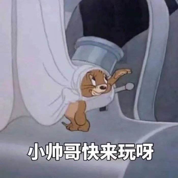 猫和老鼠？？？