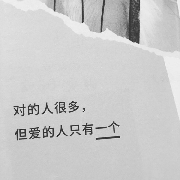 可怜我们这些害羞的人，总是被误认为高冷。