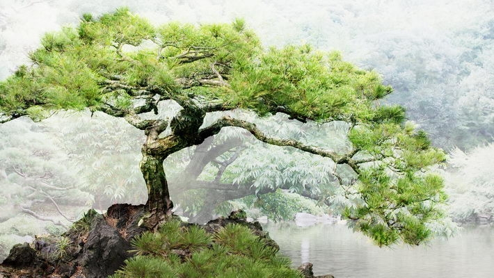 绝美高清风光壁纸 1920X1080【40P】