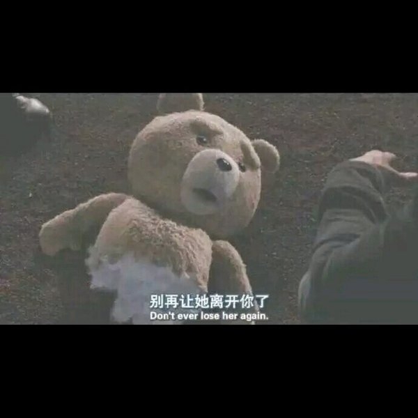 请你全力以赴的开心 .