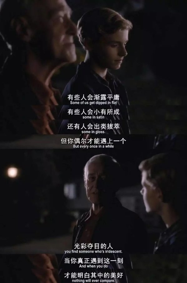 白茶清欢无别事 温柔只给意中人