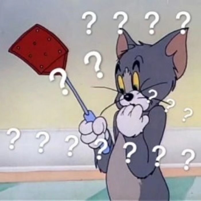 猫和老鼠？？？