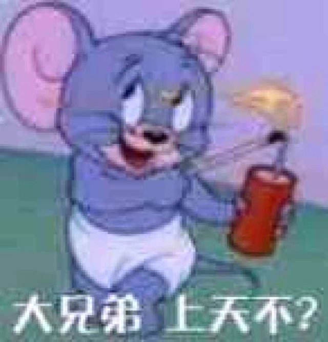 猫和老鼠？？？
