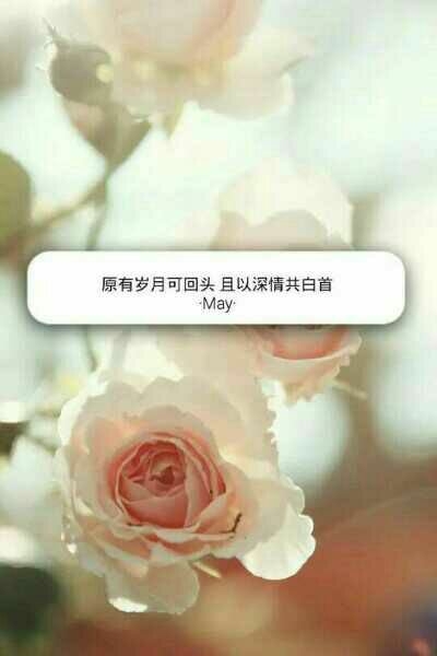 你来我的世界一场，给我一生兵荒马乱