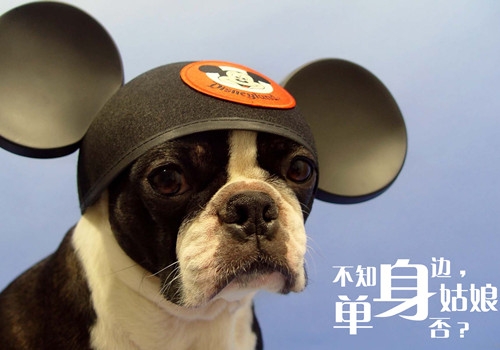 我的另一半，你去哪了？