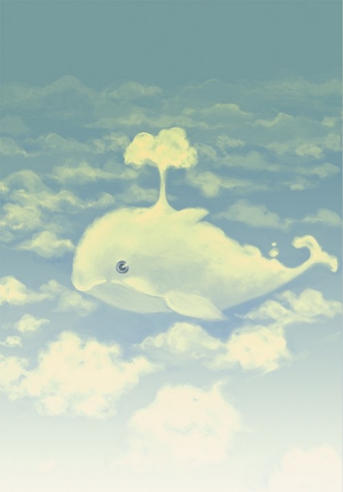 鲸鱼那种美好 爱你已不是两三天