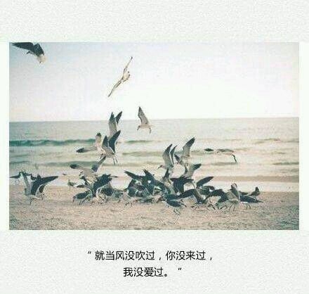 孤独是壶滚烫的酒，烧坏了喉咙还说不出口