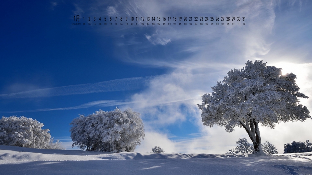 2017年1月唯美雪景自然风光日历壁纸