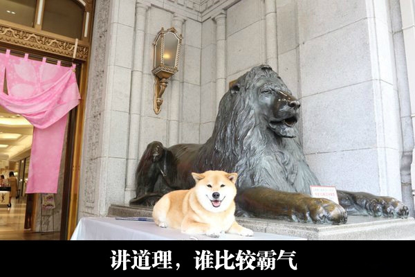 狮子都石化了，当然是你啦doge