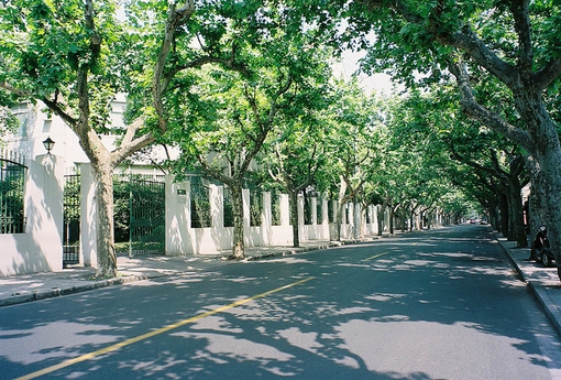 绿色大自然风光郊外唯美风景图片