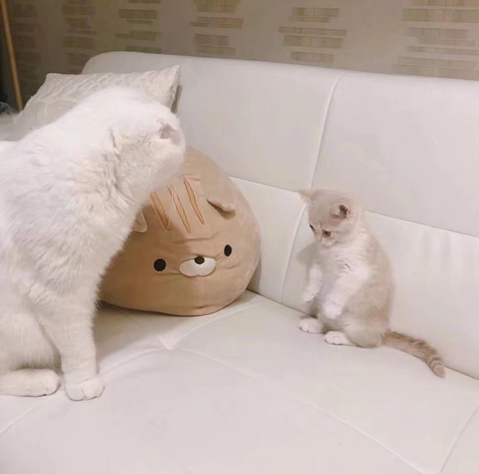 嘻嘻.