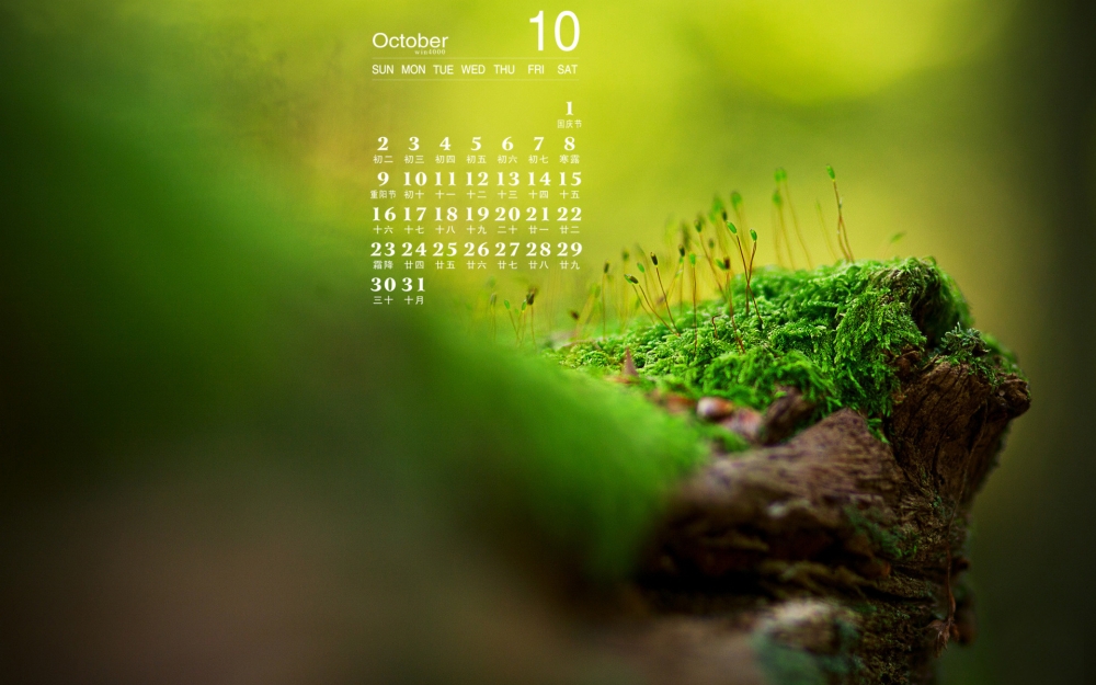 2016年10月日历绿色植物青苔清新护眼高清壁纸图片大全
