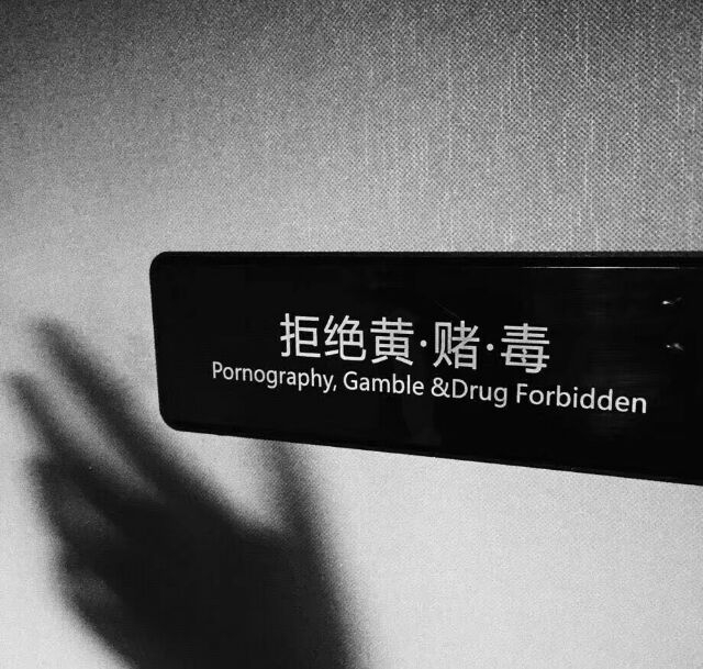 遗憾吗 关于我们.