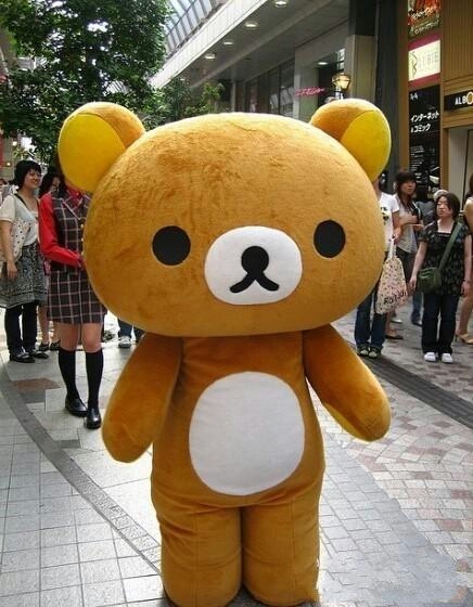 幼稚的可爱熊熊