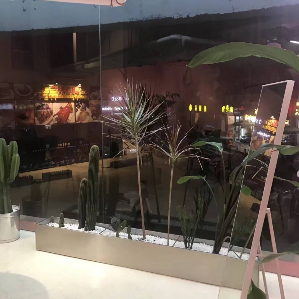 怀念一点点来临