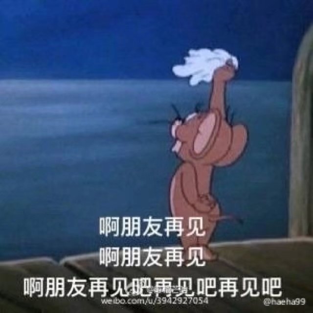 猫和老鼠？？？