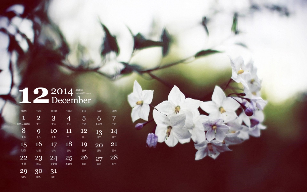 2014年12月日历梦幻花朵系列清新植物高清电脑桌面壁纸