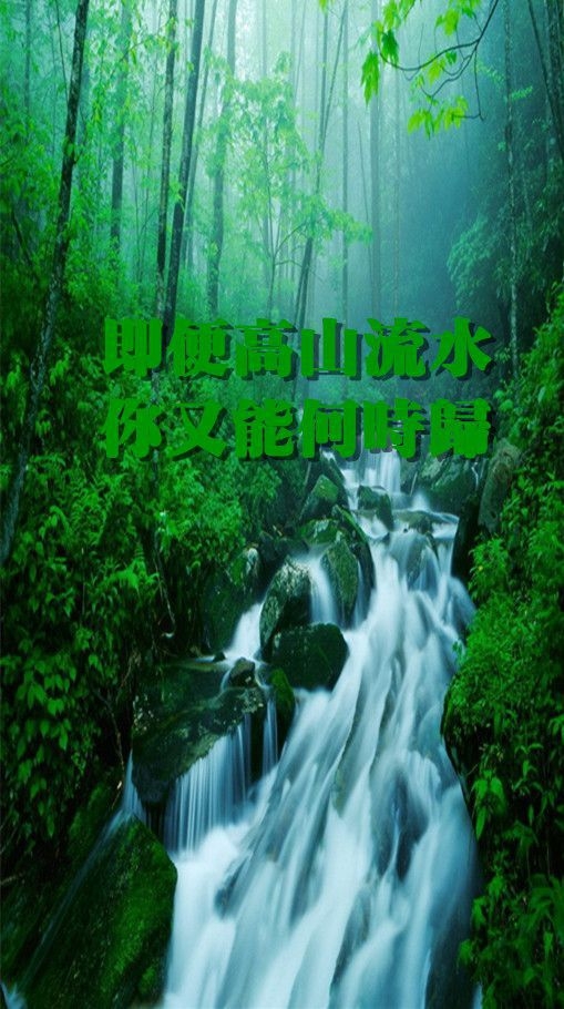 你快说我爱你然后我们在一起 意境文字图片