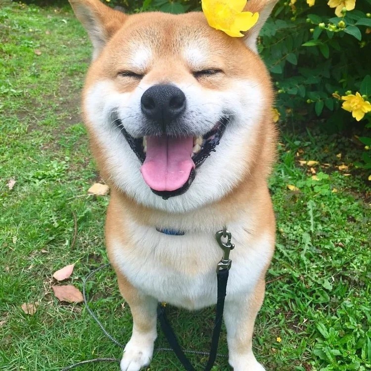 笑一笑 没什么大不了