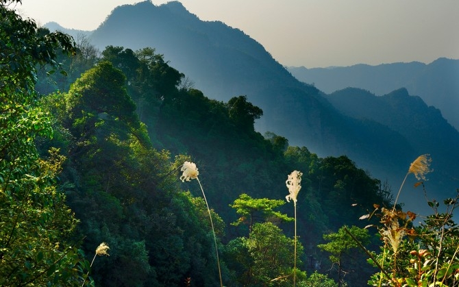 广西金秀莲花山绿色风景桌面壁纸