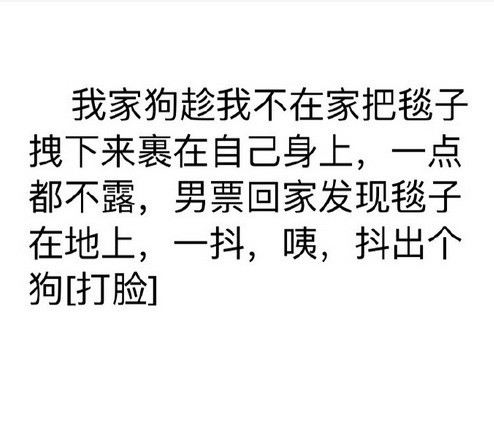 有没有一瞬间认为你们家宠物成精了？
