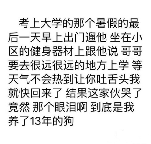 有没有一瞬间认为你们家宠物成精了？