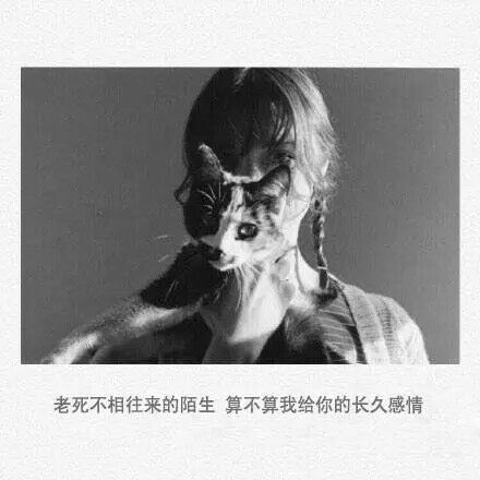 你在找哪一句
