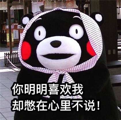聊天不斗图，犹如大老粗