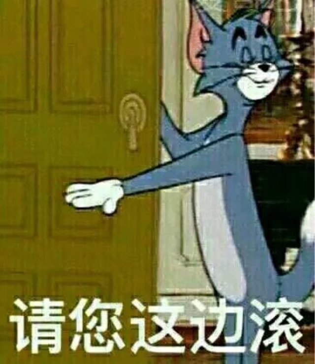 猫和老鼠？？？