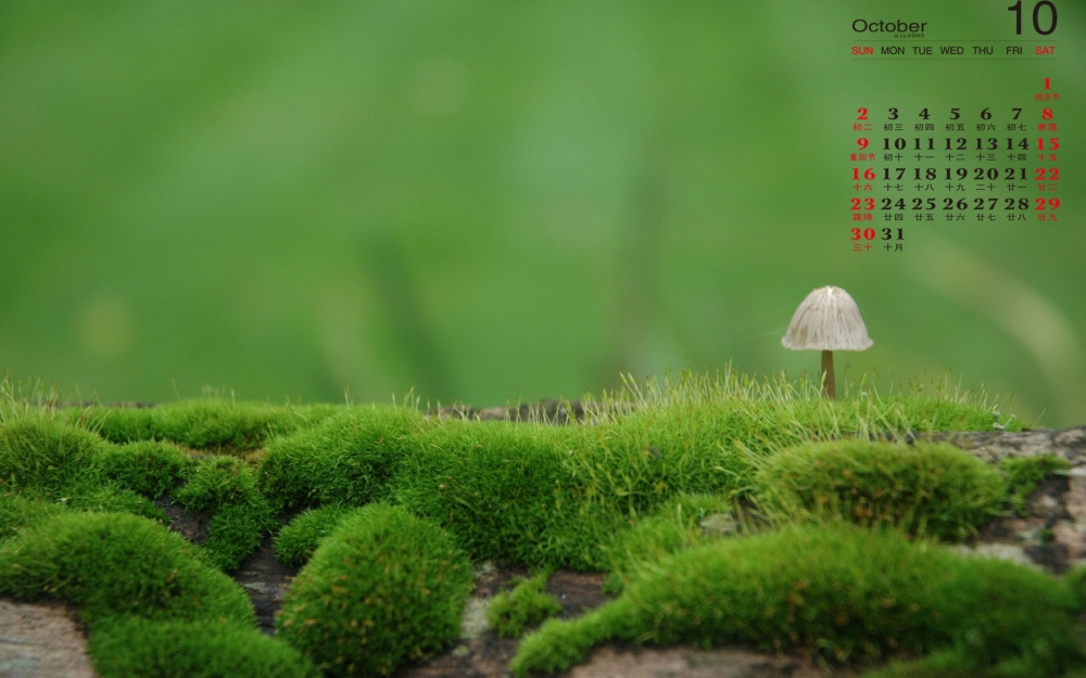2016年10月日历绿色植物青苔清新护眼高清壁纸图片大全