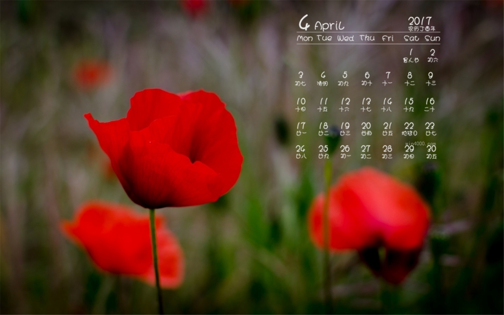 2017年4月好看的红色花卉高清日历壁纸