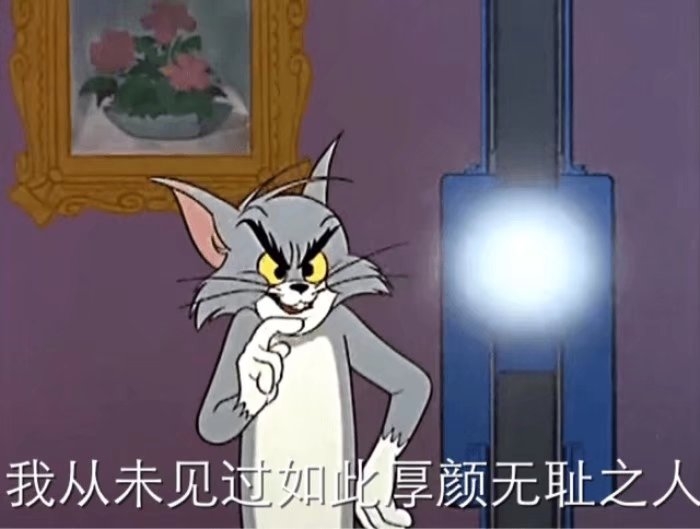 猫和老鼠？？？