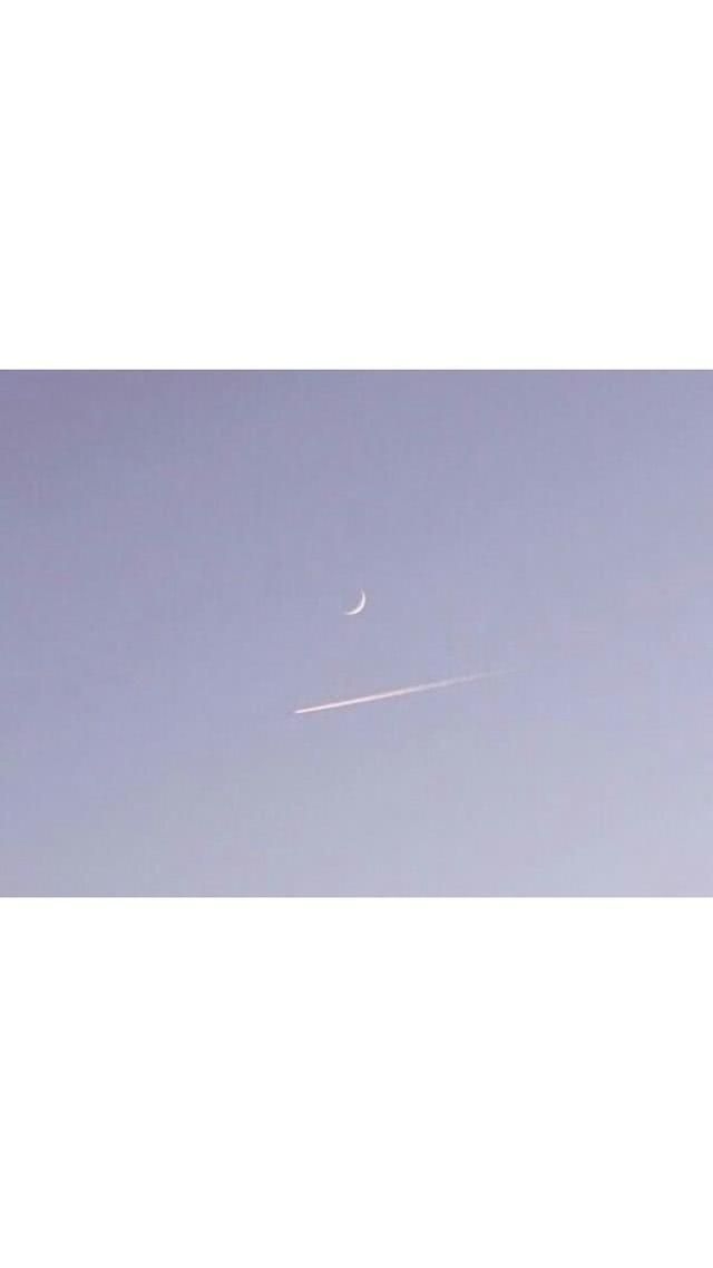 今日心动了吗