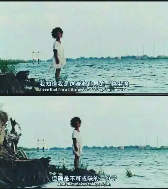 我知道我是浩瀚世界的一颗尘埃,但确是不可或缺的一份子