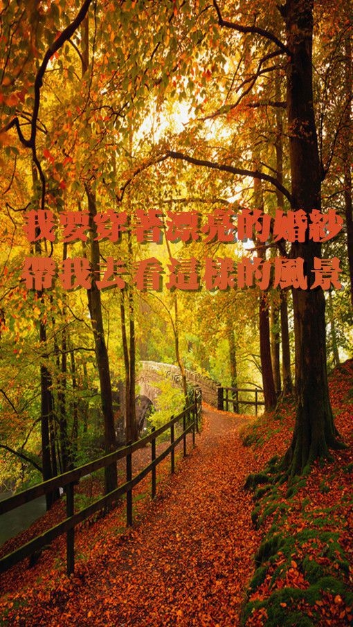 你快说我爱你然后我们在一起 意境文字图片