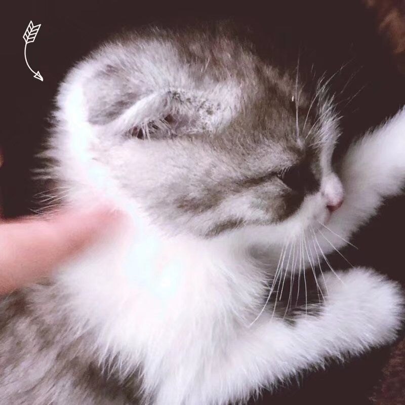 相逢恨晚 造物弄人