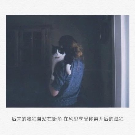 我孤独成性，因为我厌恶人心